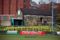 cefn-druids-5