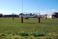 daffodils-and-goalposts